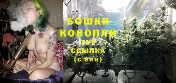 PSILOCYBIN Нязепетровск