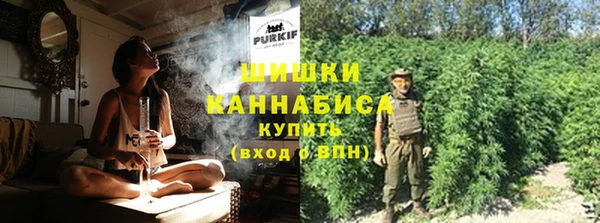 винт Осинники
