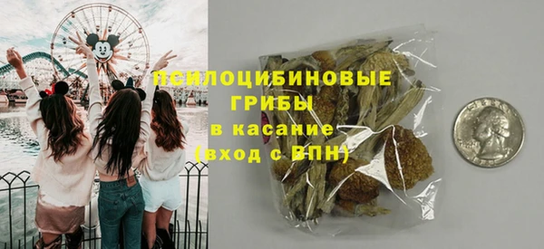 амф Осташков
