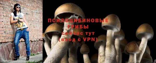 винт Осинники