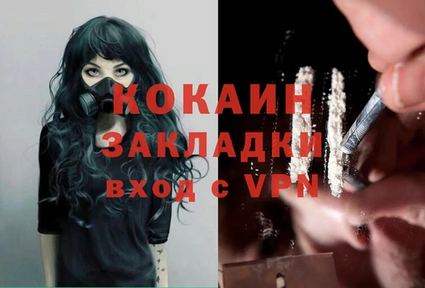 PSILOCYBIN Нязепетровск